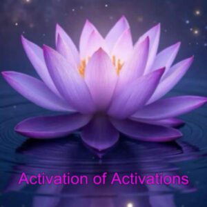 031 Activation of Activations.jpg